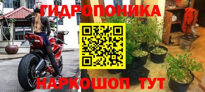 шишки Моздок