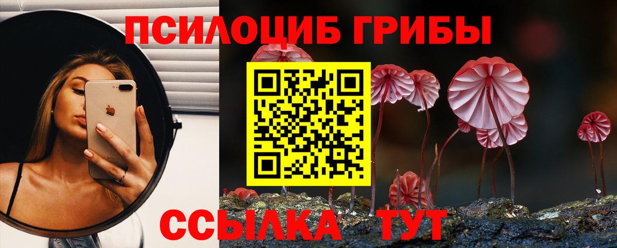 Георгиевск  Псилоцибиновые грибы Psilocybine cubensis  наркотики  Вход с VPN 